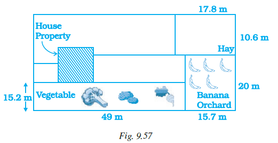 Page 291 Chapter 9 Class 7th NCERT Exemplar Page 291 Chapter 9 Class 7th NCERT Exemplar